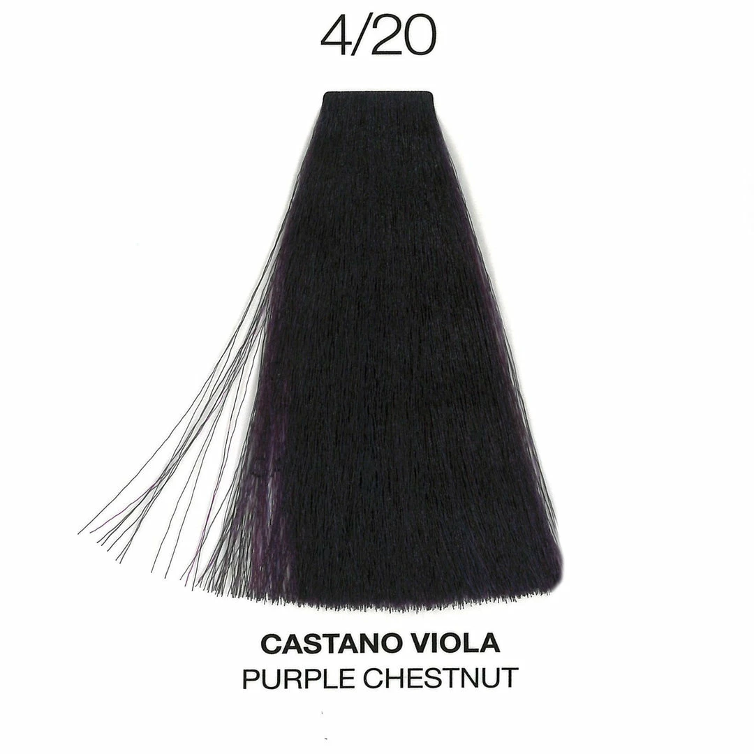 OYSTER 4/20 Purple Chestnut | Purity | Ammonia-Free Permanent Hair Color