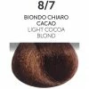 OYSTER 8/7 Light Cocoa Blonde | Permanent Hair Color | Perlacolor PRODUCTS