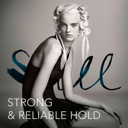 SEBASTIAN Aerosols Shaper Fierce PRODUCTS