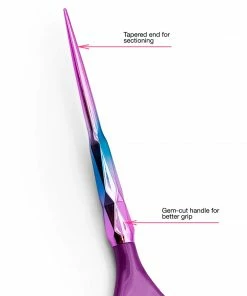 Aurora Assorted Brushes | 2PK | 7005 | COLORTRAK