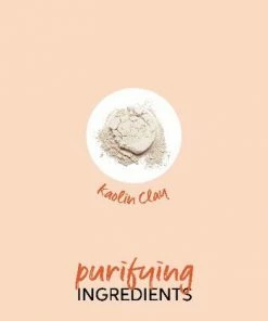 WELLA PROFESSIONAL PRODUCTS Elements Purifying Pre-Shampoo Clay | WELLA