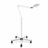 SSW Esthetics Equipment M-2030 | LED Magnifying Lamp