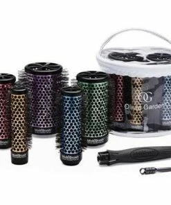 OLIVIA GARDEN MultiBrush - 6 Count Combs & Brushes